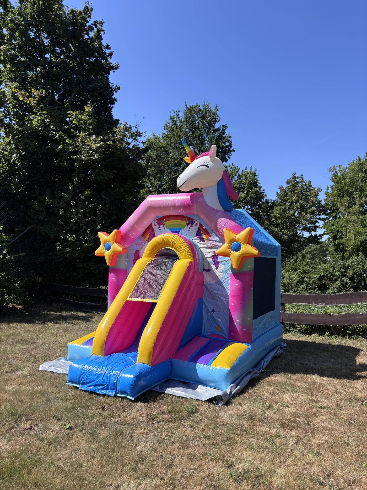 Einhorn Hüpfburg Bild 2