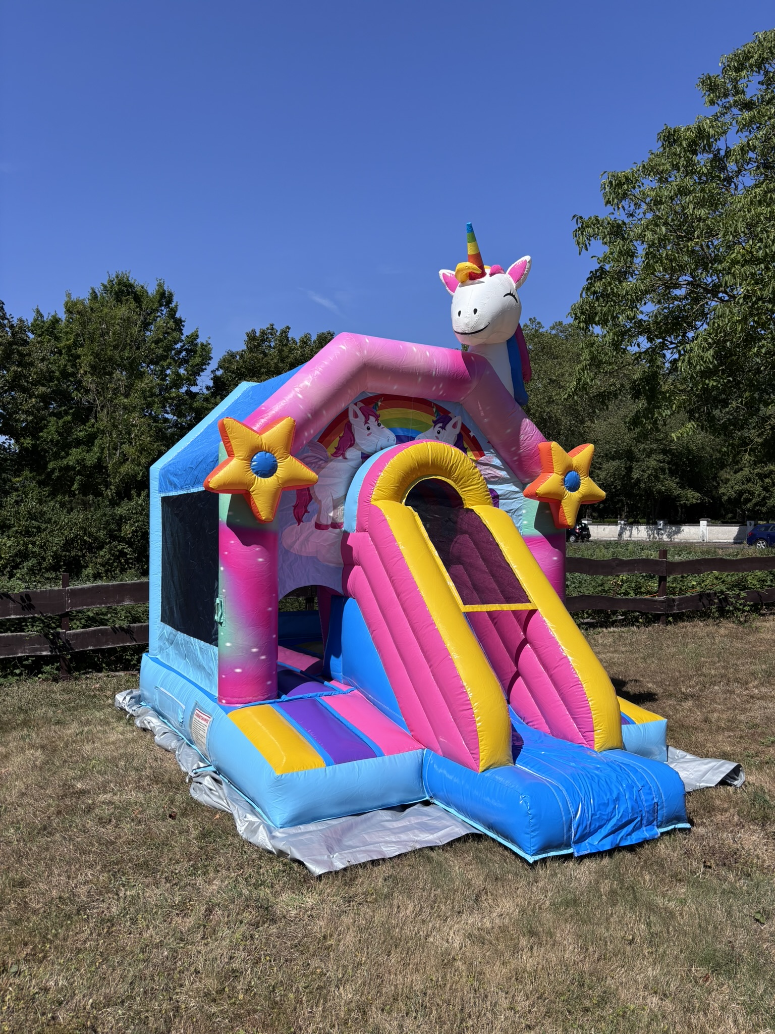 Einhorn Hüpfburg Bild 3