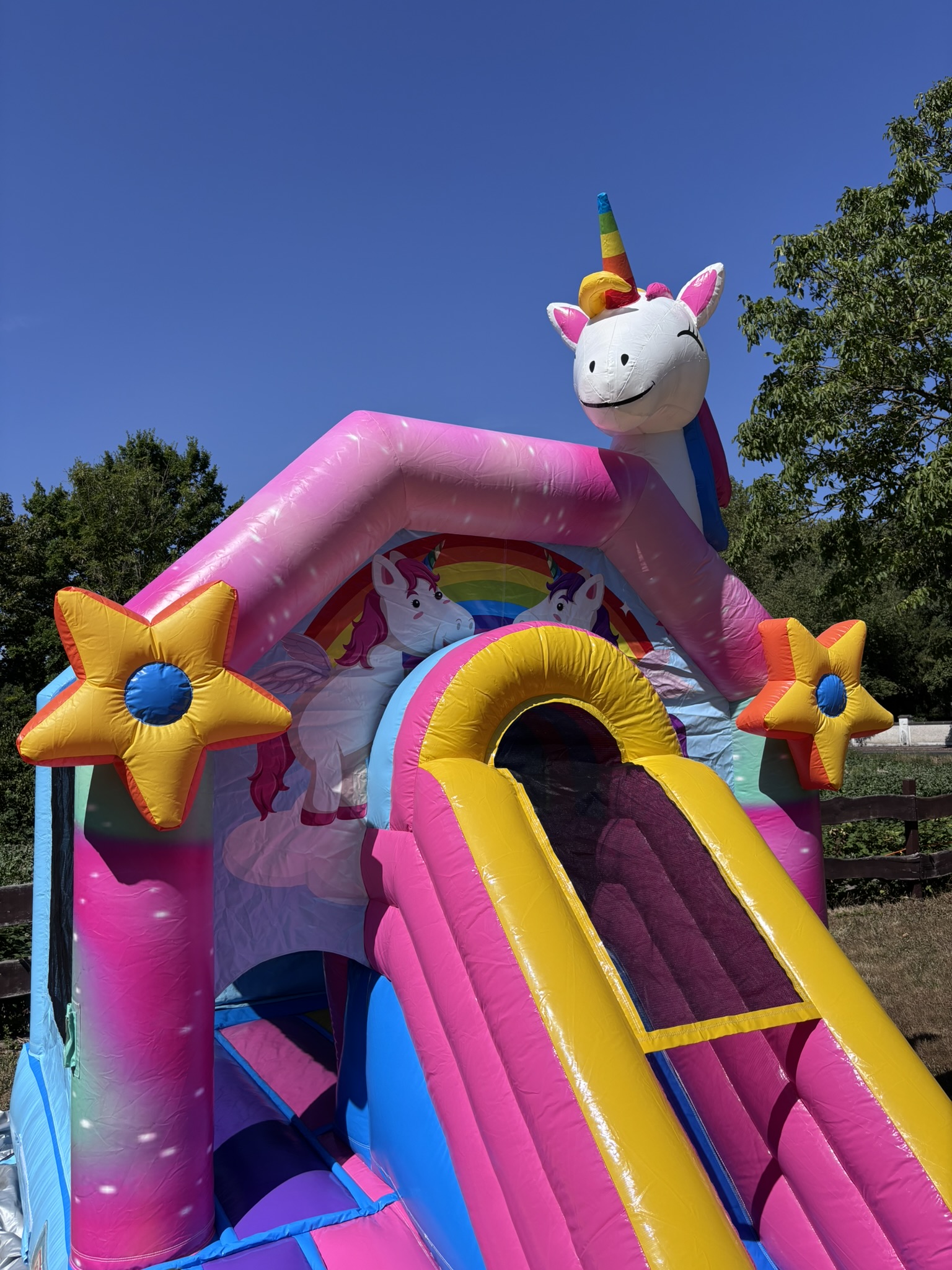 Einhorn Hüpfburg Bild 4