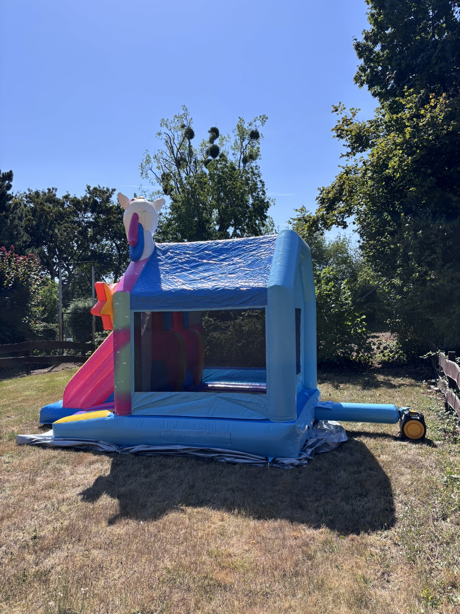 Einhorn Hüpfburg Bild 6